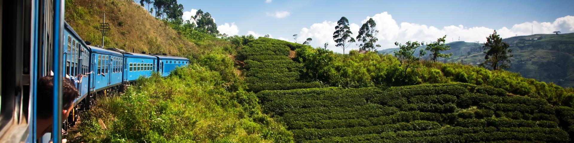 Zwiedzanie Nuwara Eliya